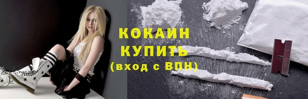 стаф Магас