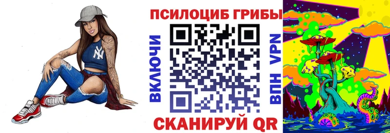 Купить где  Муравленко  Псилоцибиновые грибы прущие грибы 
